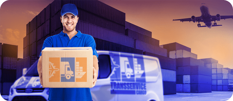 image_tsc_form-minime